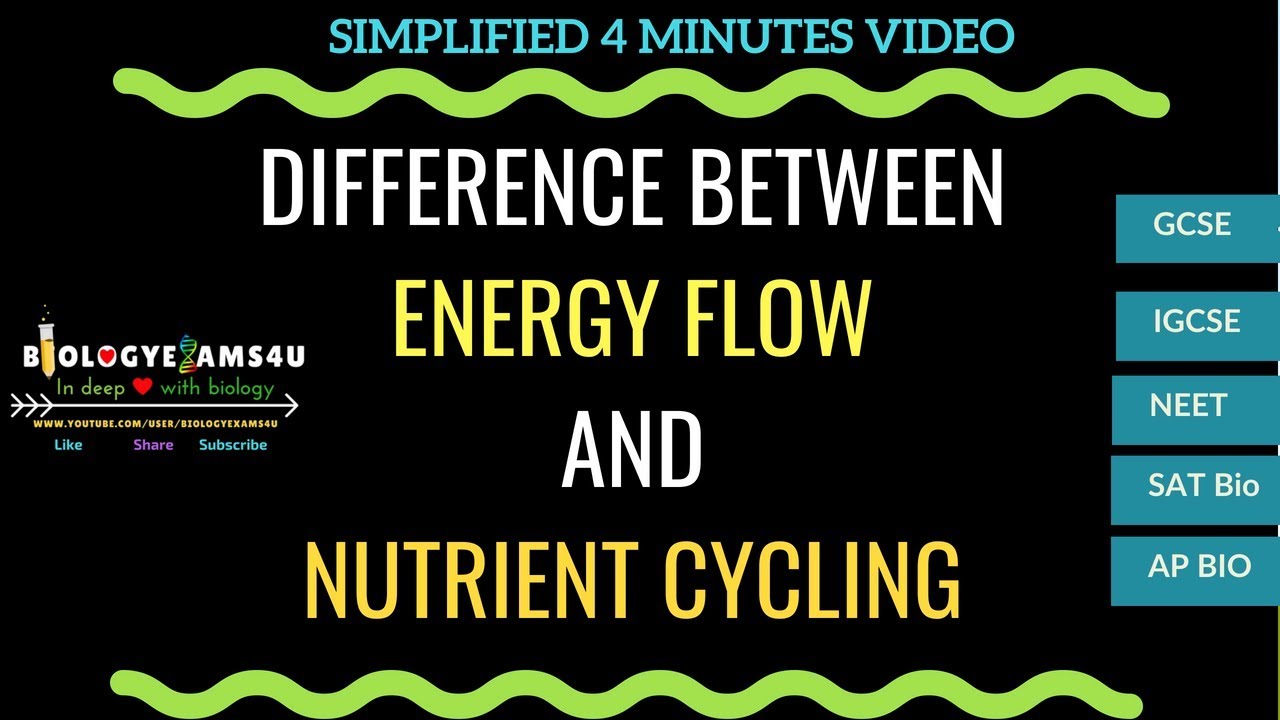 Difference between energy flow and Nutrient Cycling
