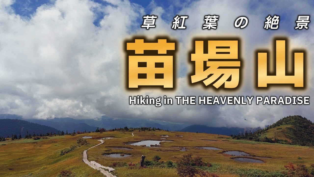 犬連れ登山 - 空に浮かぶ楽園!! 苗場山で絶景の草紅葉を満喫