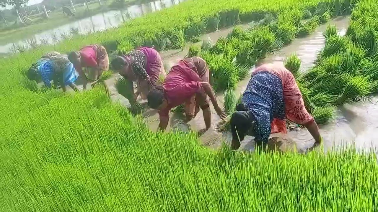 10 ఆగస్టు, 2024
