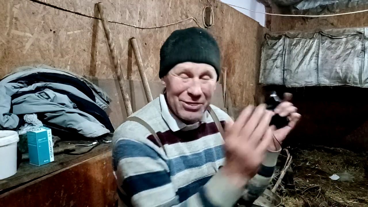 Про запахи в коровнике.