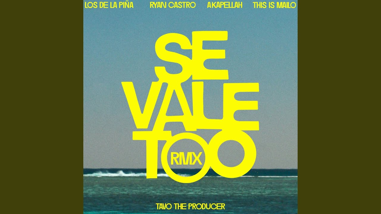 SE VALE TOO (feat. This Is Mailo, Tavo the producer) (Remix)