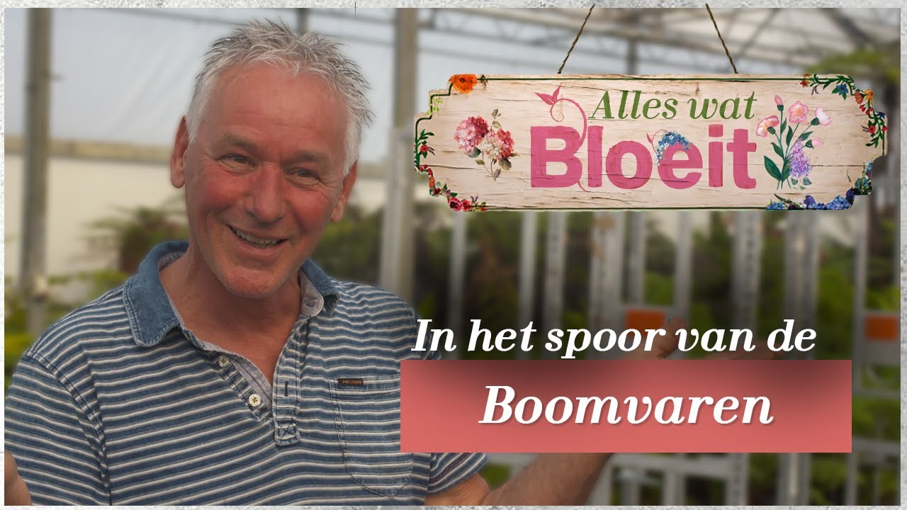 In het spoor van de Boomvaren | Alles Wat Bloeit