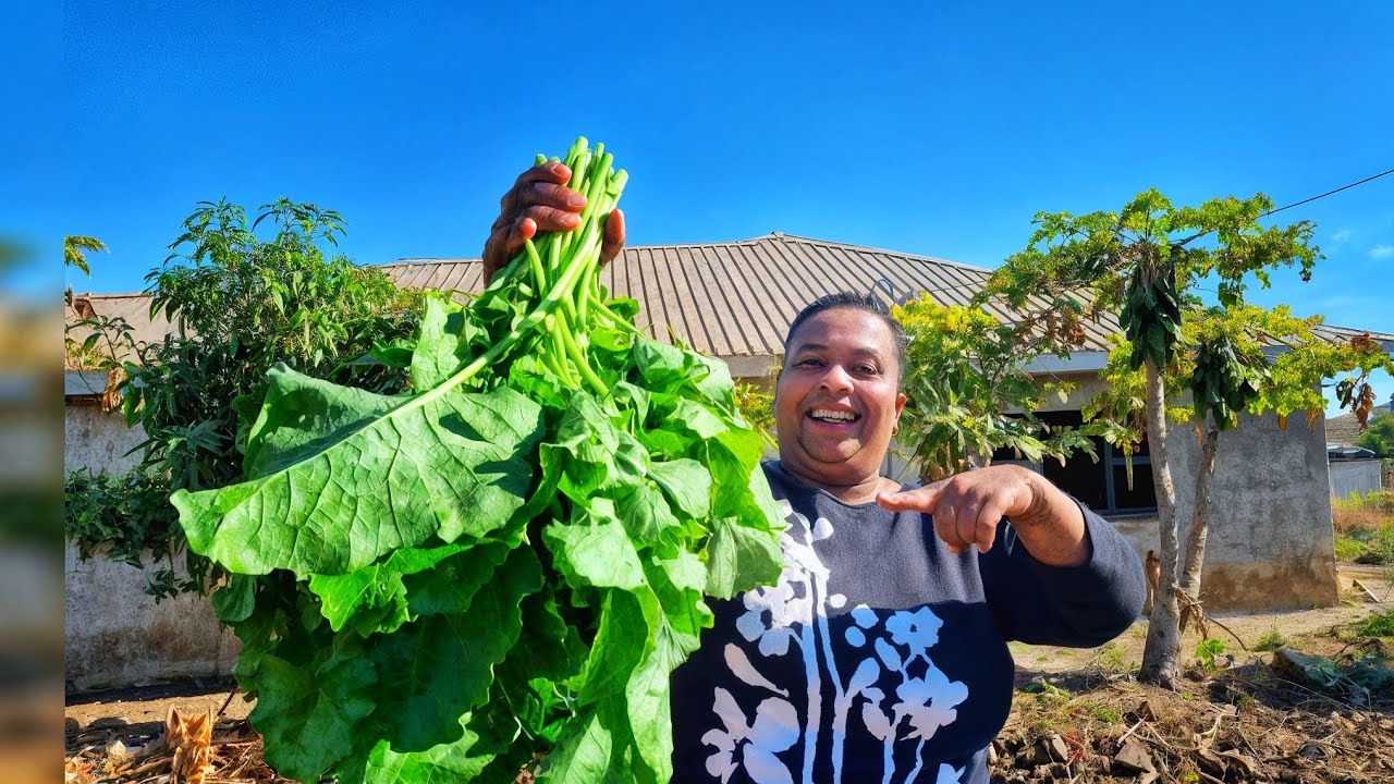 Zimbabwean  delicious  village veggie recipe