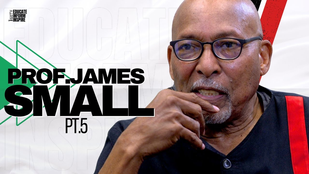 Prof. James Small Talks Immigrants Putting So Many Black People On The Unemployment Line Without....