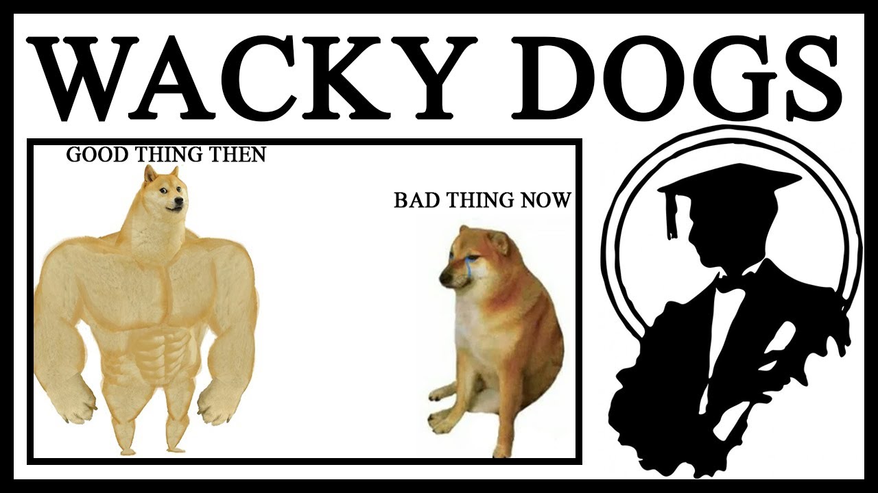 Who The HECK Are Swole Doge And Crying Cheems?