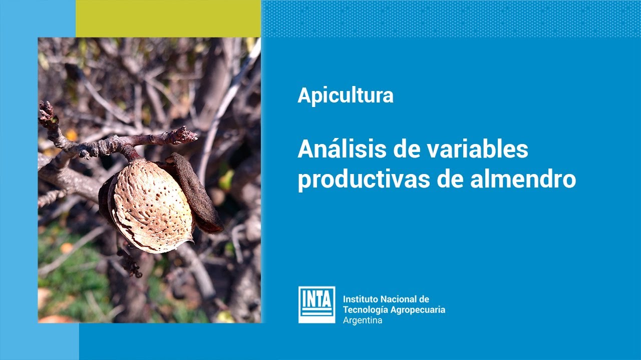Análisis de variables productivas de almendro cv. “Guara “ y  cv. “Marinada” en San Juan