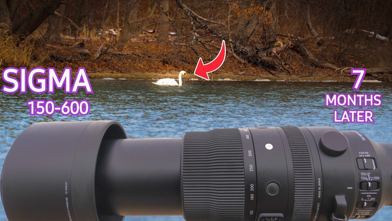 SIGMA 150-600mm F5-6.3 (Sony E-Mount) Update/Follow-up -INSIGHTS YOU NEED TO KNOW!!!
