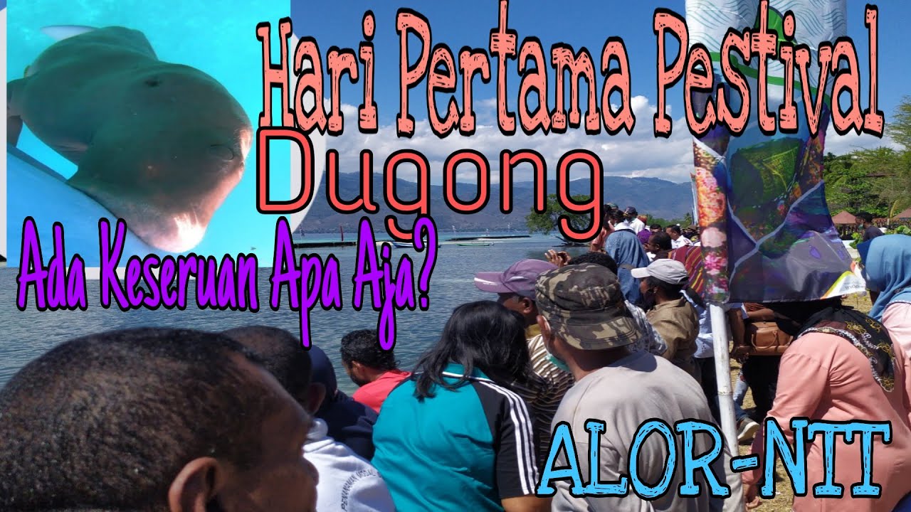 #Alor