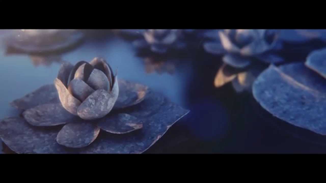 Dream Koala - Odyssey