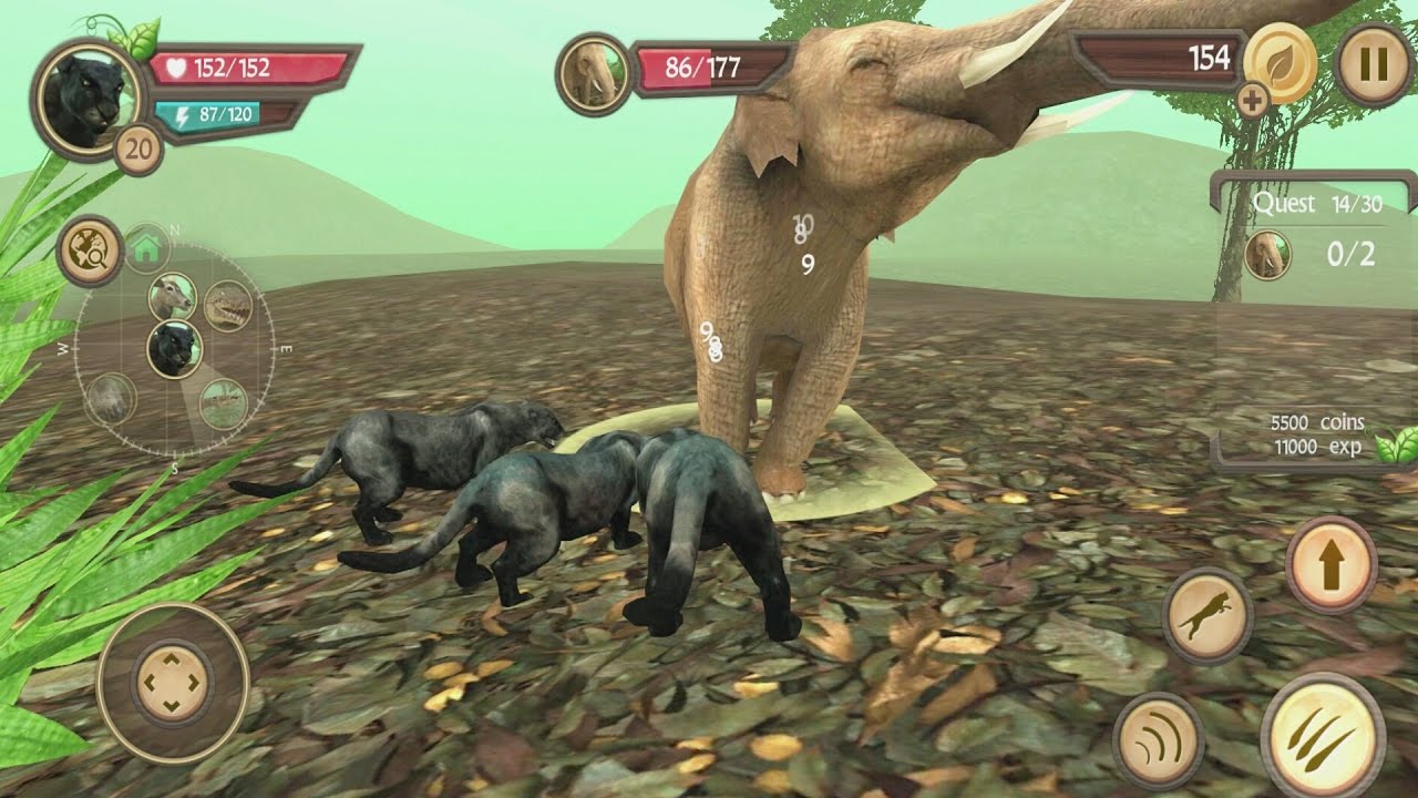 Wild Panther Sim 3D Android Gameplay #7