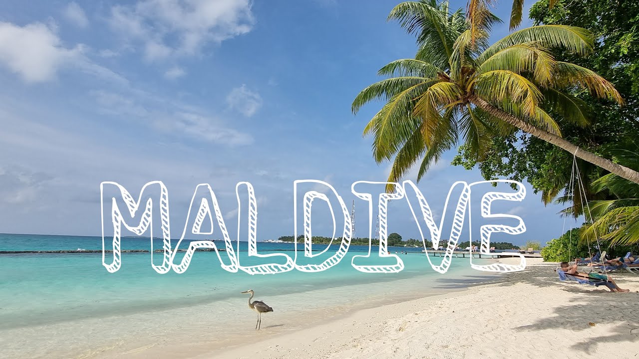 📍🇲🇻 MALDIVE 🇲🇻📍