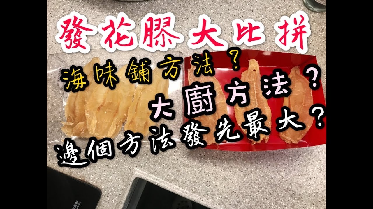點先可以發到最大最長既花膠？浸發花膠大比拼！！
