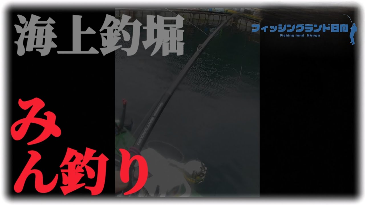 海上釣堀 Enjoy fishing Episode 14　【ﾌｨｯｼﾝｸﾞﾗﾝﾄﾞ日向】みん釣り大会編