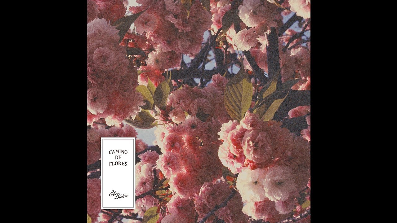 El B&uacute;ho - Aguas Claras