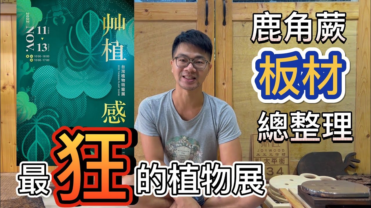 揪匠木工工坊 艸植感活動宣傳 鹿角蕨板材大介紹 鹿角蕨上板適合板材大集合