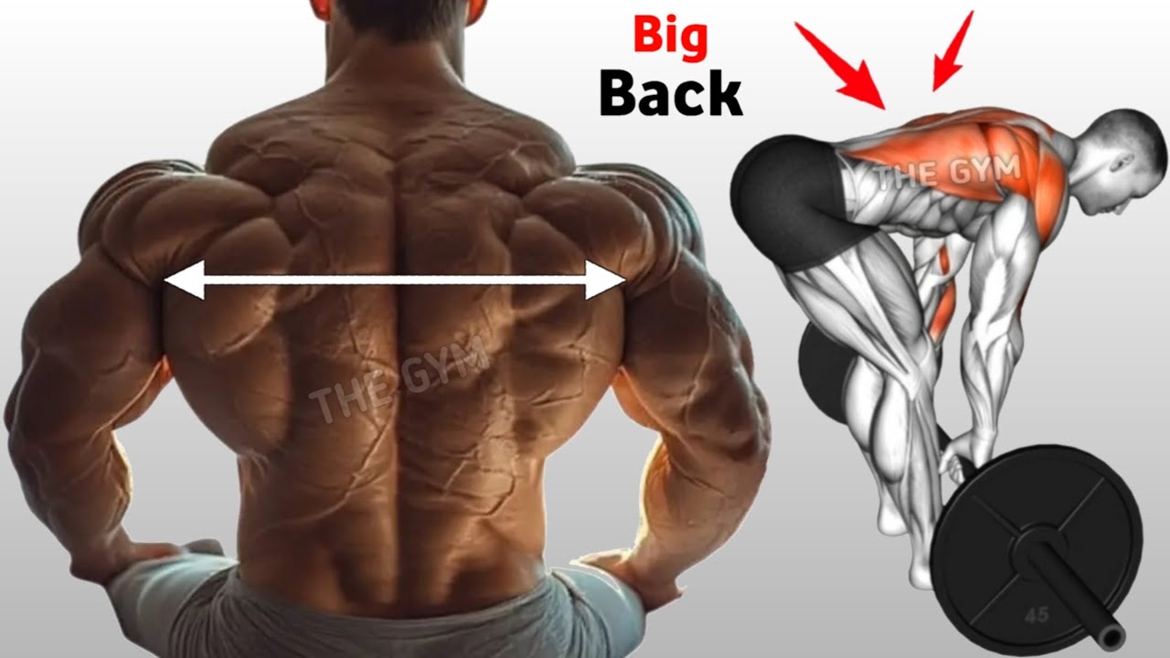 7 Best Back Workout at Gym for Massive Back Gains