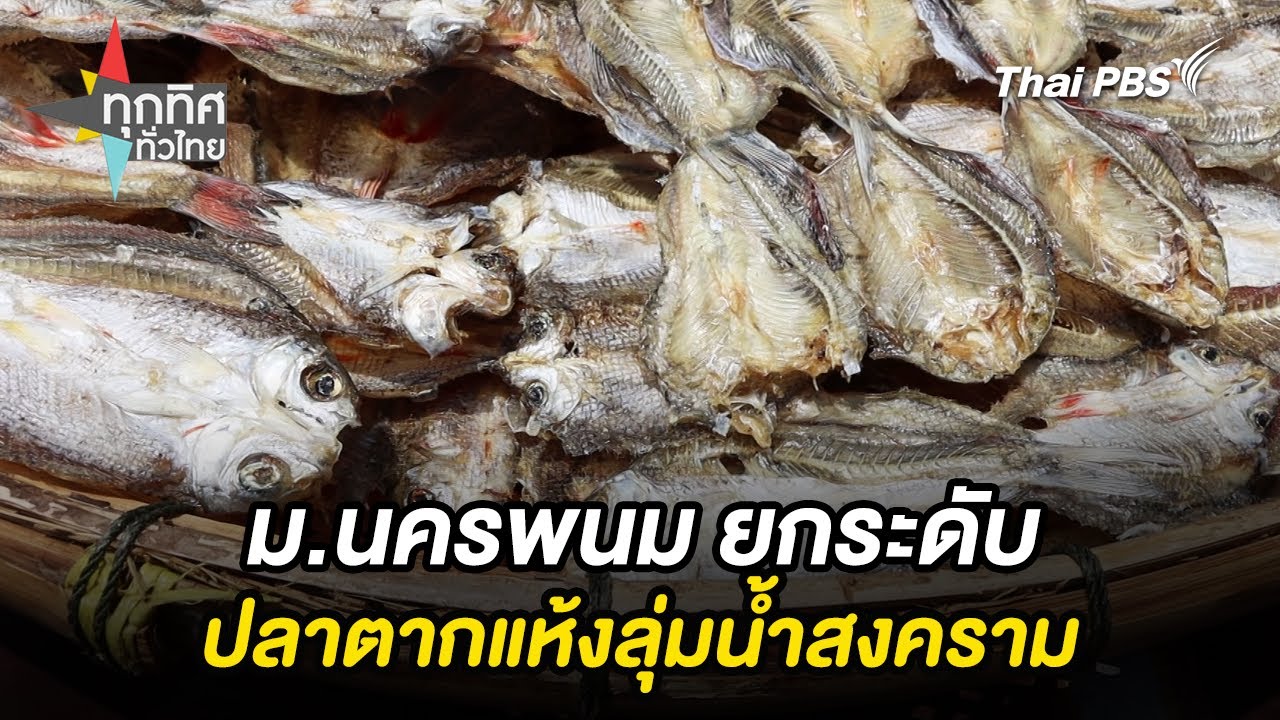 ม.นครพนม ยกระดับปลาตากแห้งลุ่มน้ำสงคราม | ทุกทิศทั่วไทย | 17 ก.ย. 68