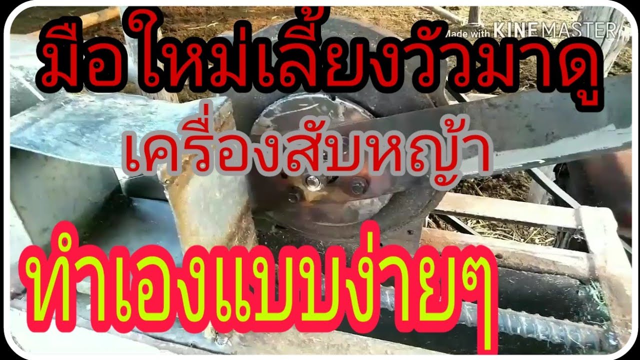 มือใหม่เลี้ยงวัวมาดูเครื่องสับหญ้าทำเองแบบง่ายๆ