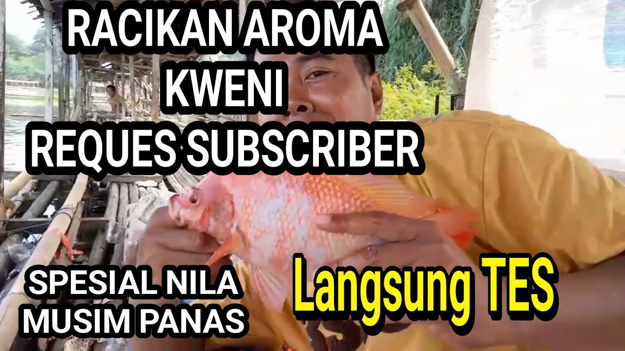 TES RACIKAN ESSEN NILA AROMA KWENI MUSIM PANAS