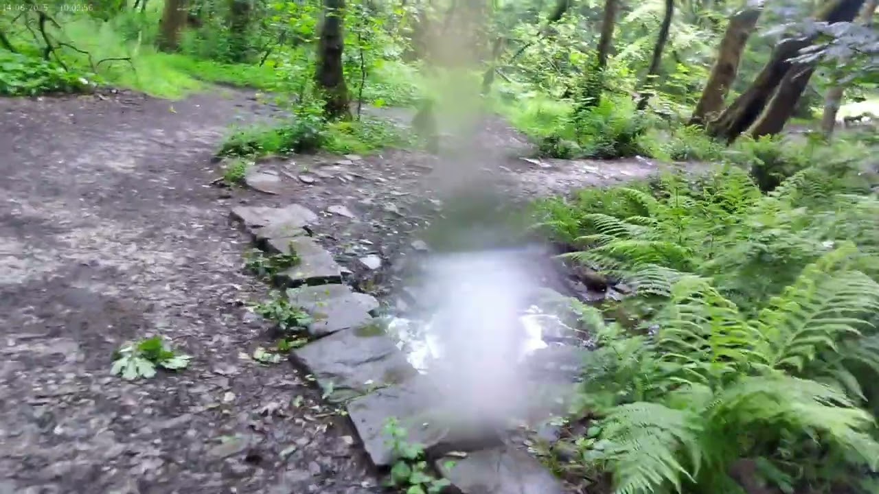 Sunnyhurst / Tockholes short loop MTB