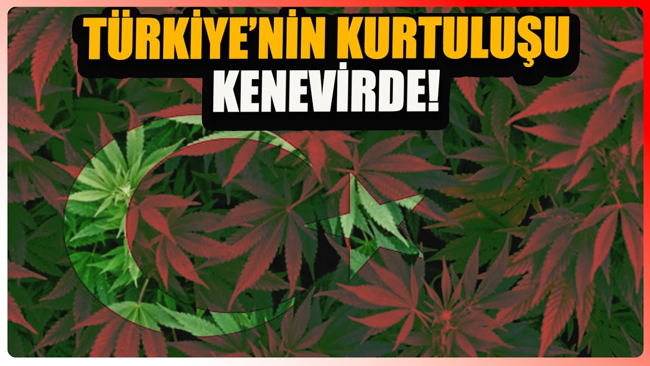 Doğanın mucizesi: Kenevir! - Yeni Ufuklar - Şule Perinçek - Uğur Balkuv