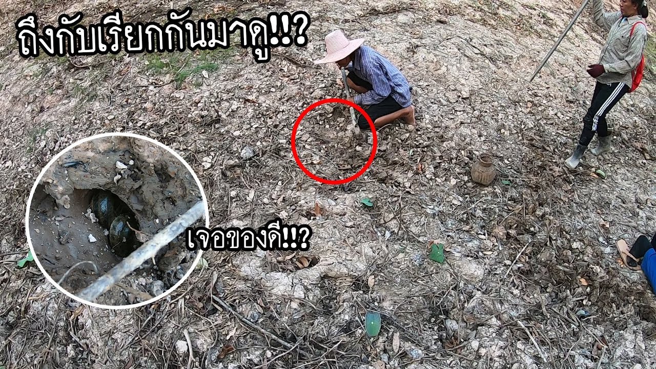 หากบไง หาเขียดอยู่ดีๆ!! ไปเจอของดีเข้าให้อีกแล้ว!!? “เกือบแม่นแตกกะเจิงแล้วแม่ใหญ่ตู้”
