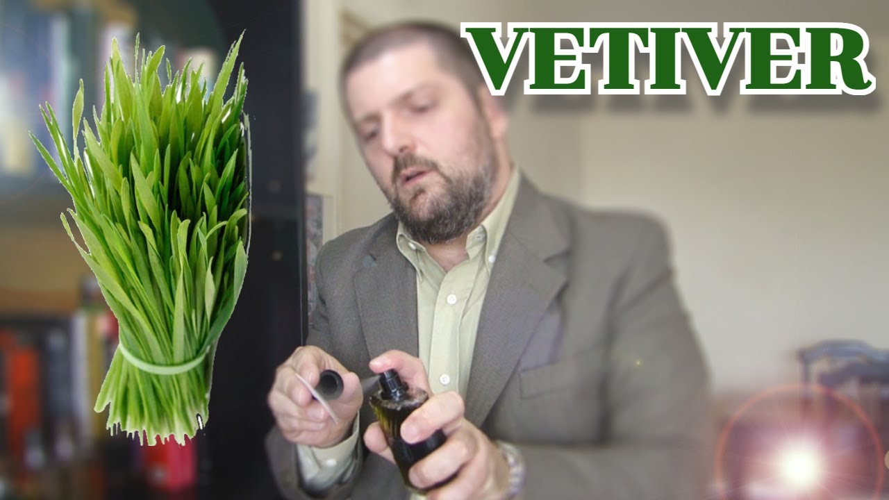 ¡ESPECIAL! - Fragancias con VETIVER y 10 Propuestas TOP