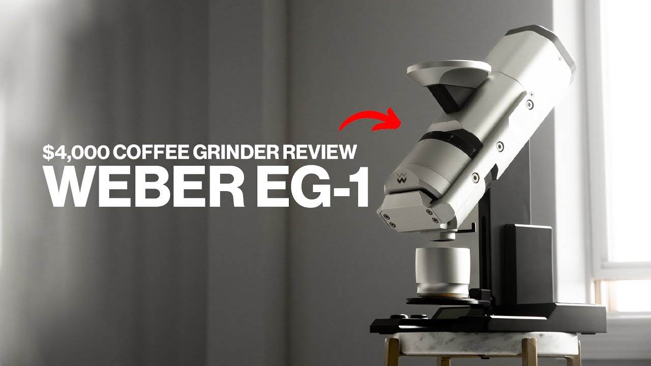 Обзор Weber Workshops EG-1 — 150 дней спустя!