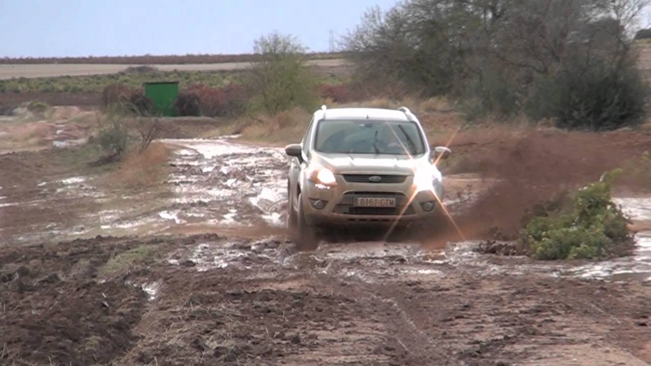 Kuga en barro