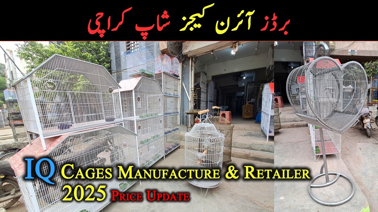 Birds Iron Cages Shop 2025 Price Update | IQ Cages Manufacture & Retailer | Cages Price in Karachi