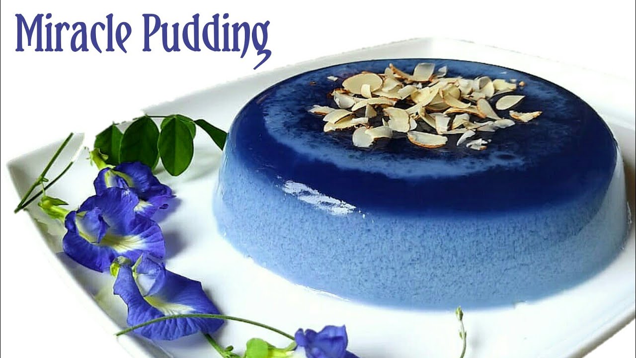 Easy Layer Pudding Recipe | Dishes Made With Blue Plea Flower |Rainbow Buds #66