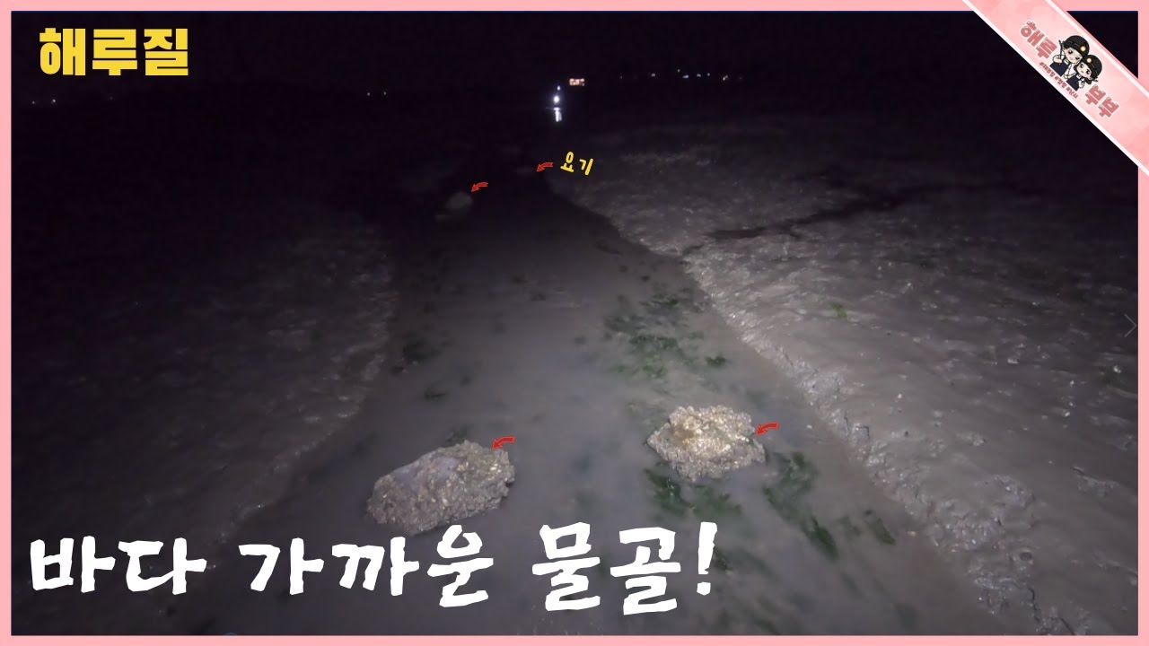 물빠지는 물골! 물웅덩이에 숨어있는 요녀석들!