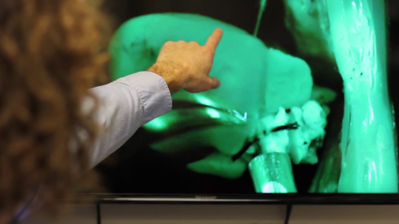 Calcium in your heart's cells changes how it beats (Tim Domeier, PhD)