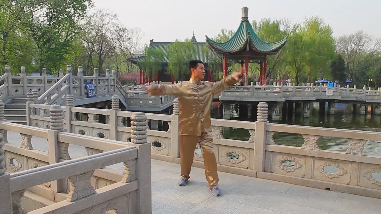 Yiquan Combined Fali/发力 (Force-releasing) demonstrated by my master