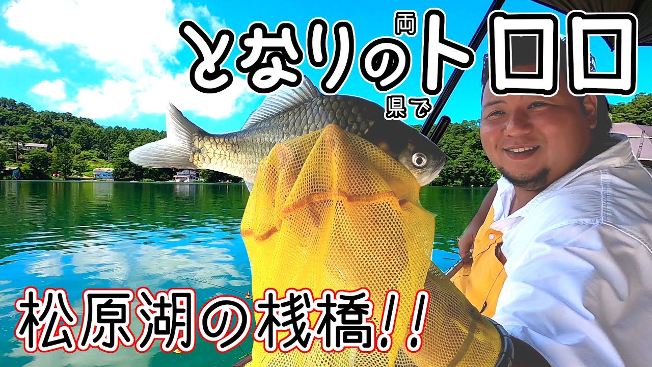 長野県松原湖の桟橋で両トロロのヘラブナ釣り！