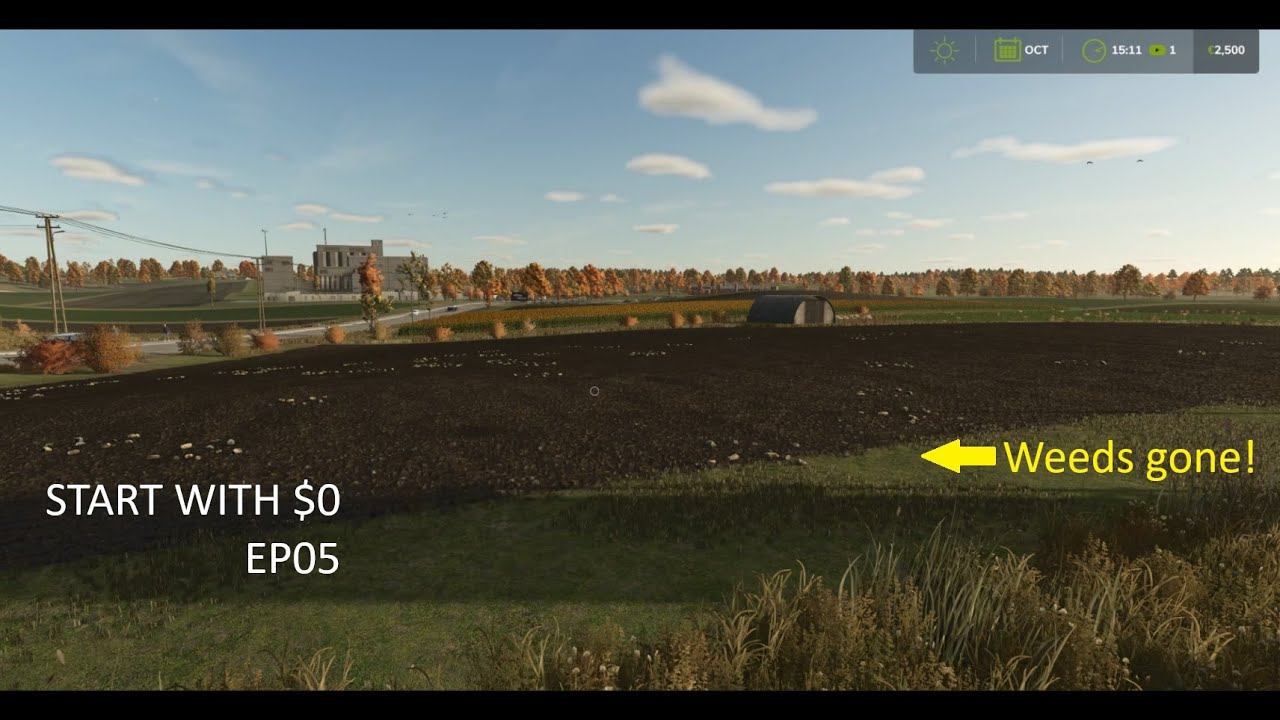 Zeilonka - Start With $0 Lets Play FS25 - EP05