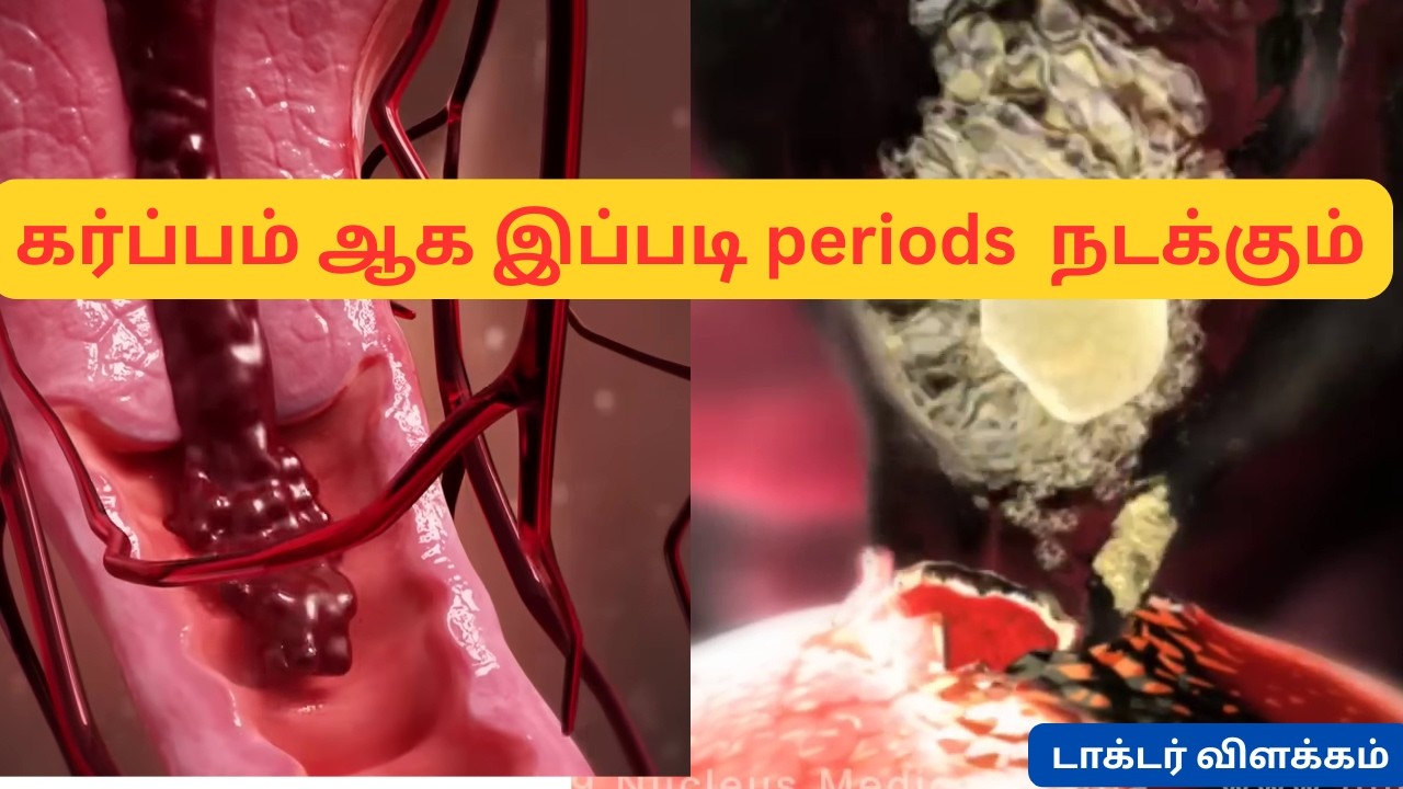 How Periods Start? | Menstrual Cycle Explained with Animation in tamil| Dr Priya