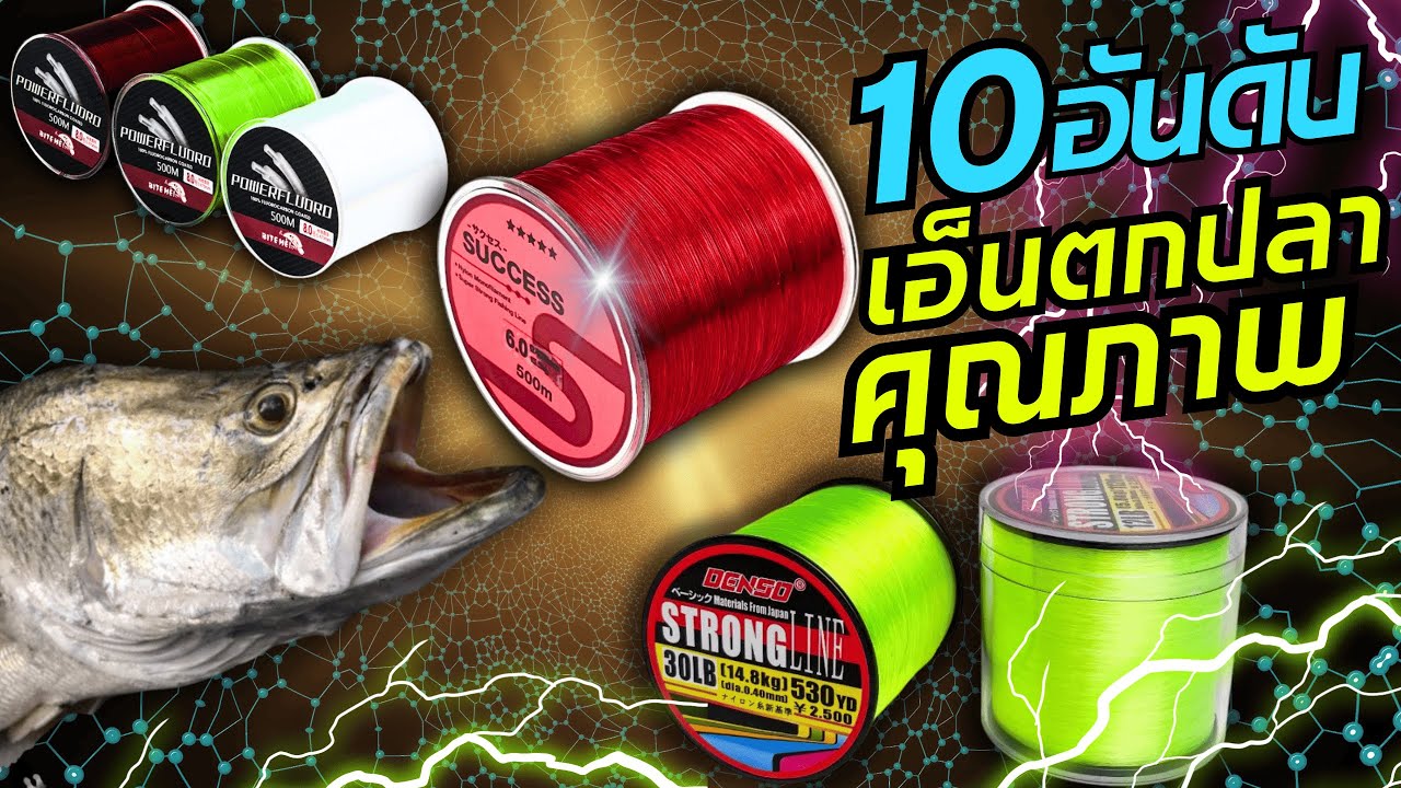 10อันดับ สายเอ็นตกปลาคุณภาพดี