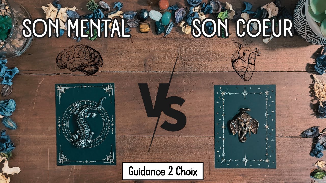 💕 Ce qu'il ressent contre ce qu'il pense (guidance à 2 choix) ❤️🔮