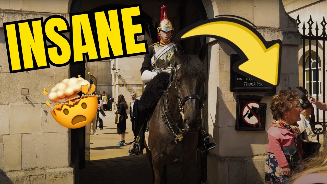 KING HORSE KICKED tourist 😱