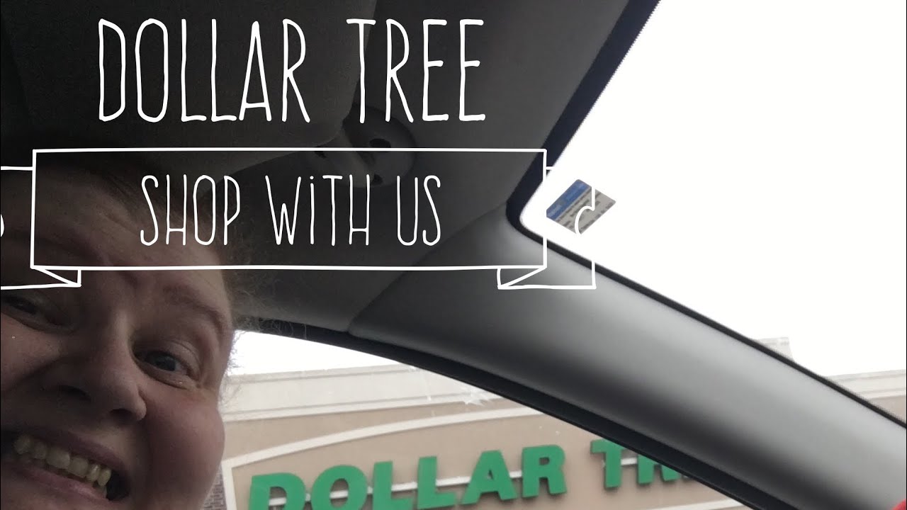Dollar Tree Shop With Us November 3, 2017