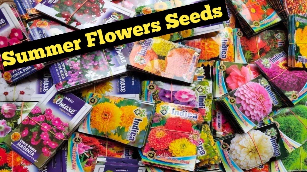 Summer Season मे कौन से Flower seeds लगाये 👍