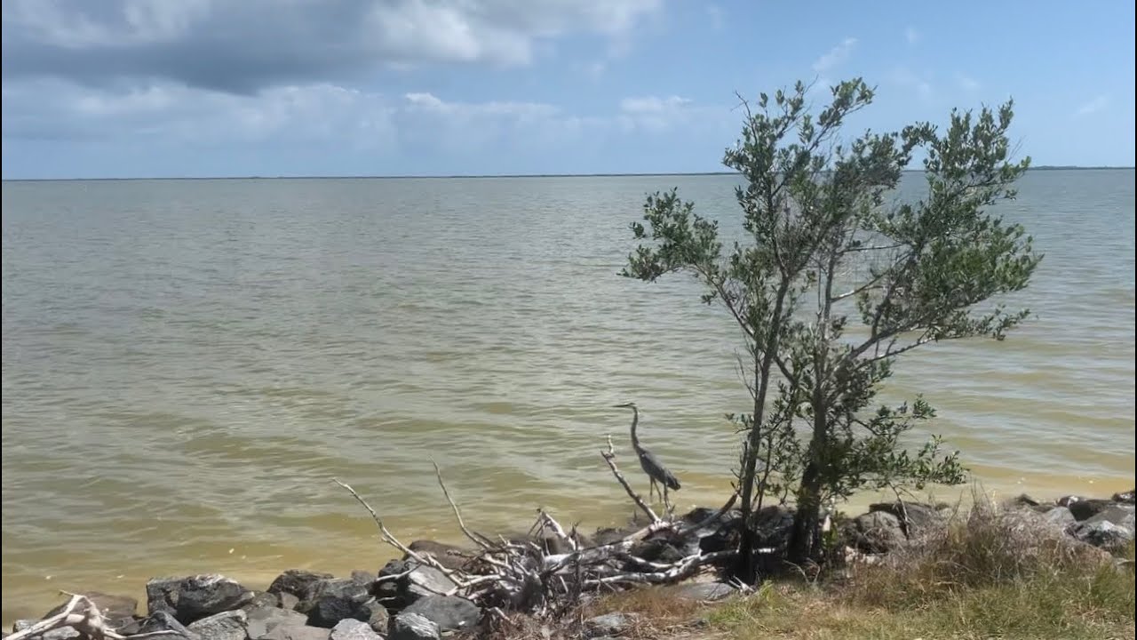 Exploring Playalinda Beach, Merritt Island National Seashore, Mosquito Lagoon, and Biolab Road
