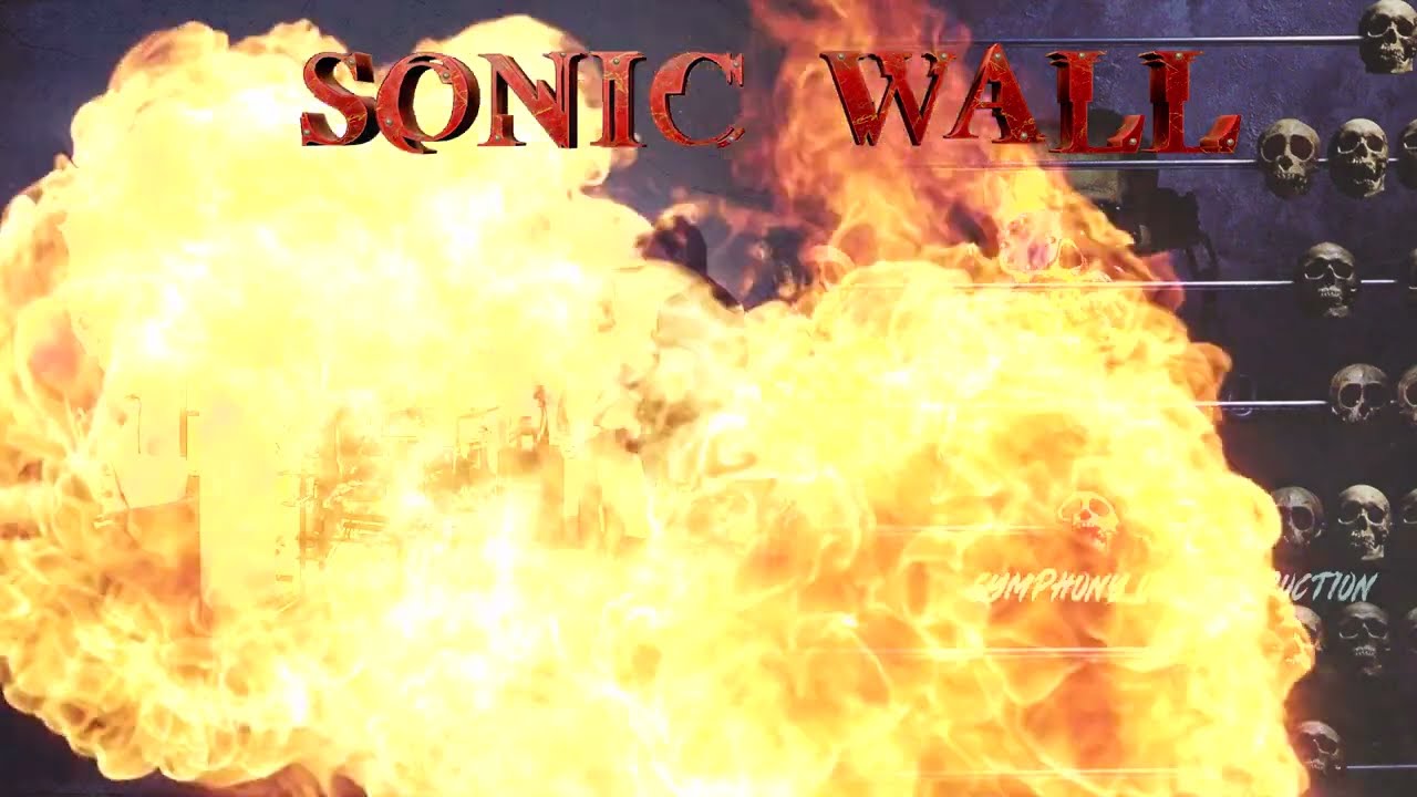 Megadeth's Symphony of Destruction by Sonic Wall
