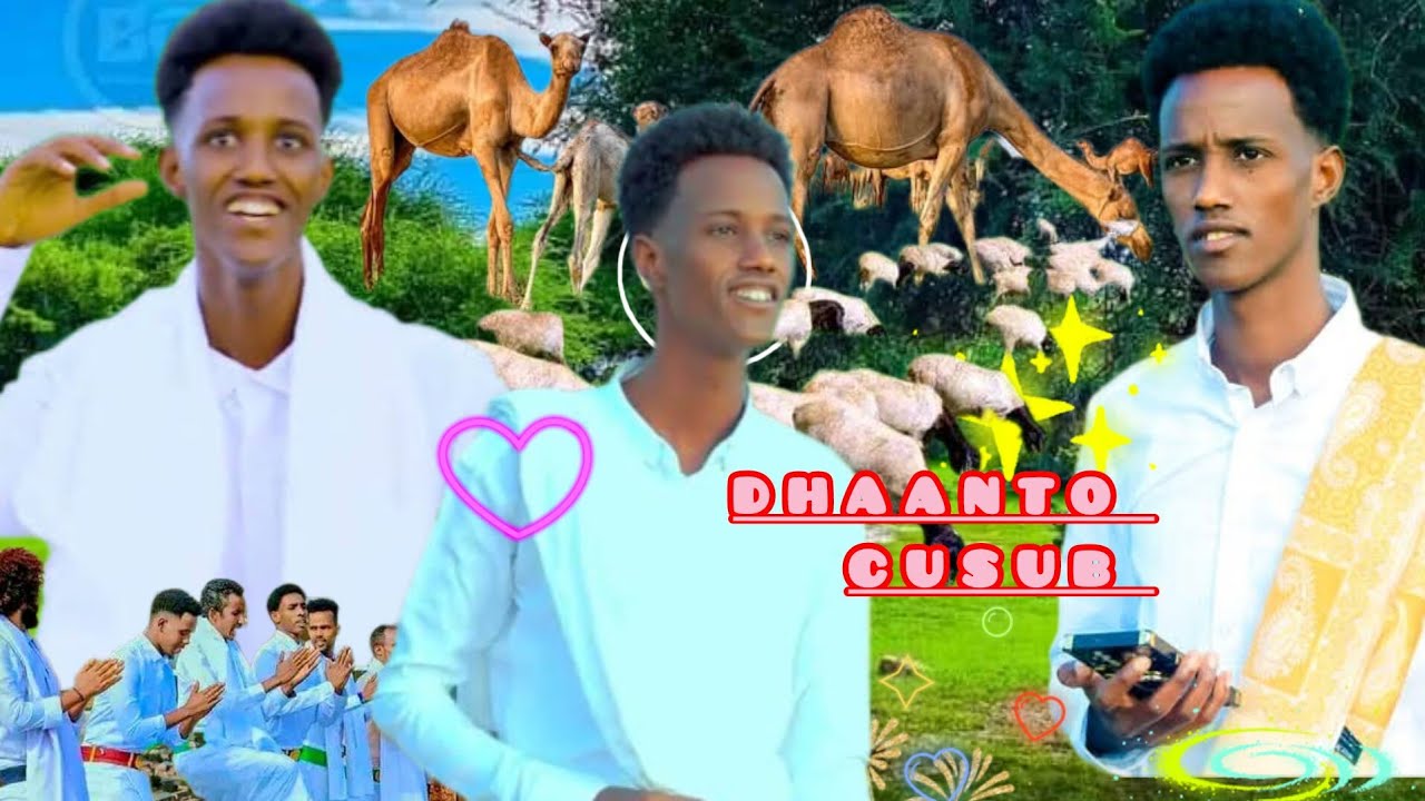 DHANTO CUSUB ABWAN NUUR GOSAR//FOSIYO NEW VIDE/ 2025