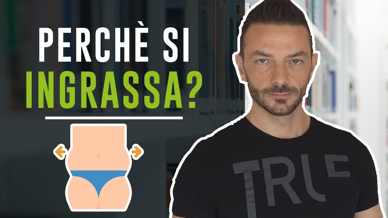 PERCHE' SI INGRASSA? - Nutrizione in pillole