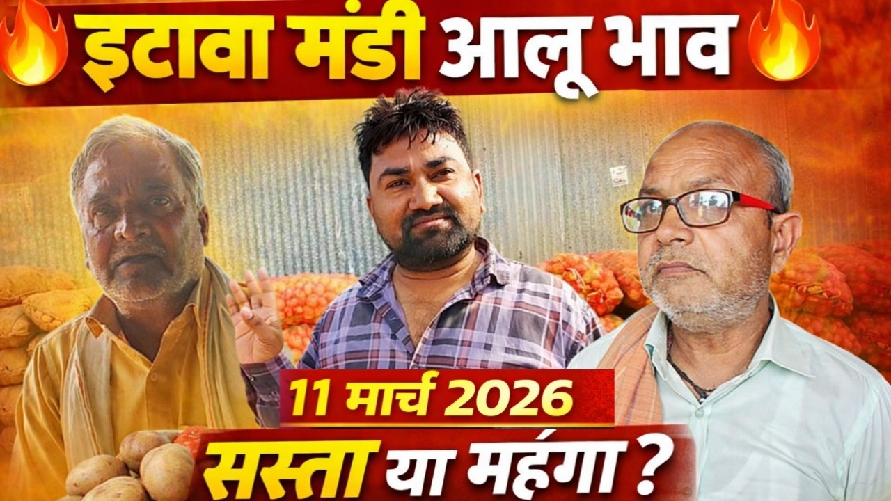 🔥 इटावा मंडी आलू भाव आज | सस्ता हुआ या महंगा ? किसान और व्यापारी की राय | 11 मार्च 2026