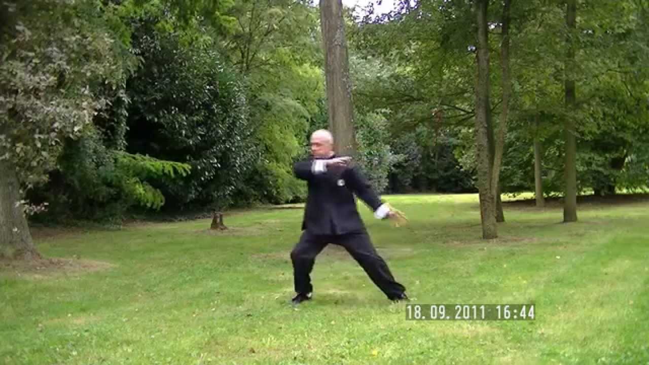 Tai Chi 8 mouvements forme Yang