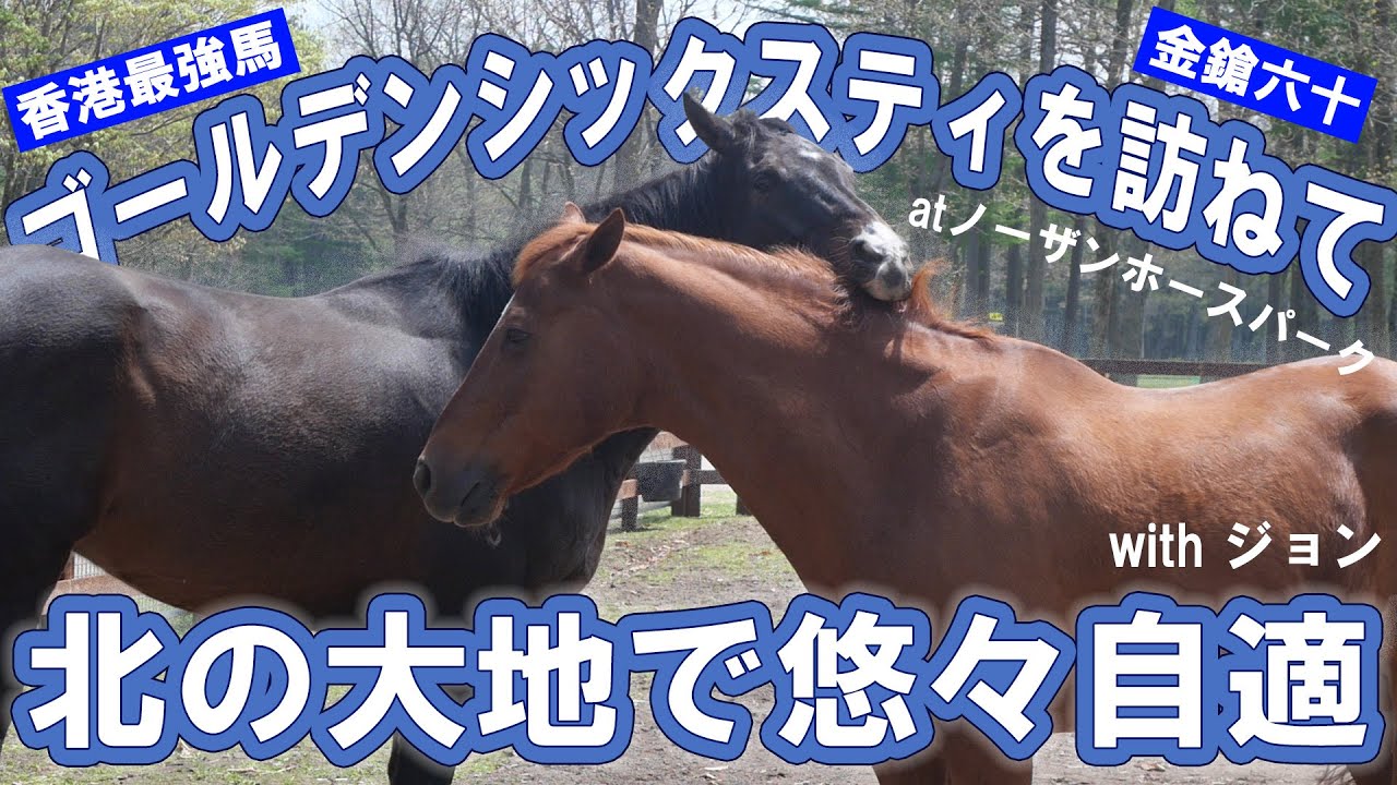【香港史上最強馬ゴールデンシックスティを訪ねて】atノーザンホースパーク