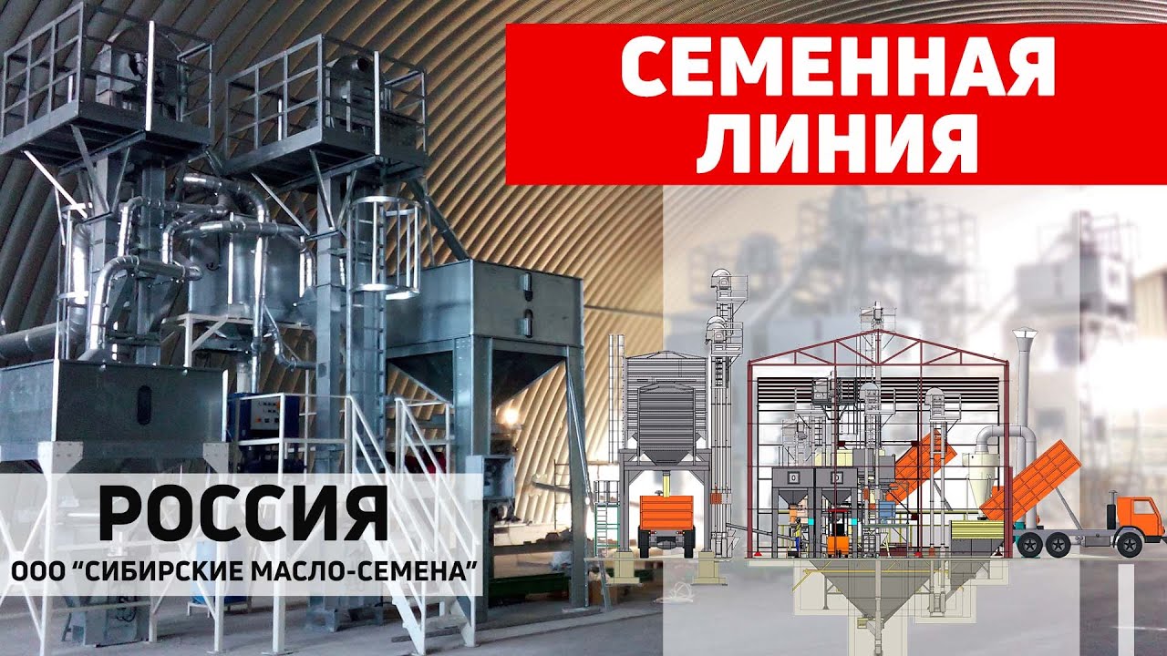 Обзор семенной линии Полымя. ООО 